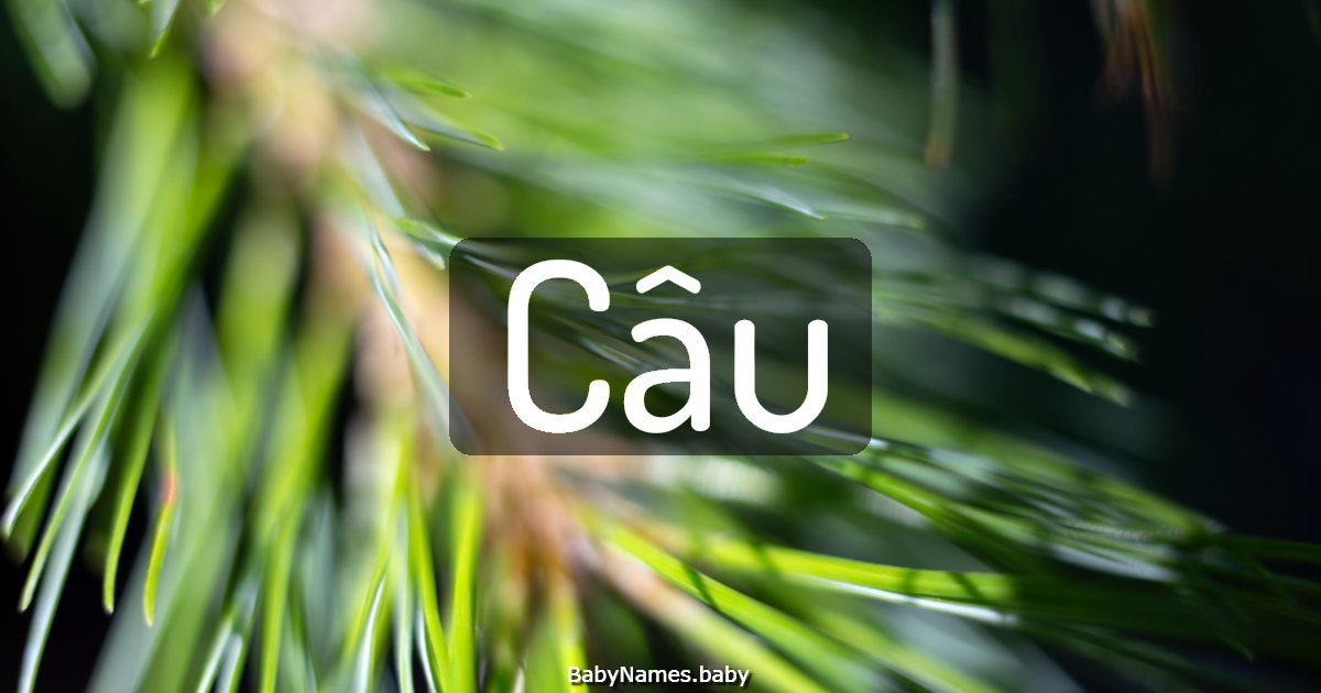 Câu