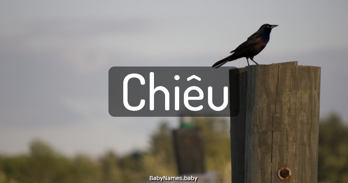 Chiêu