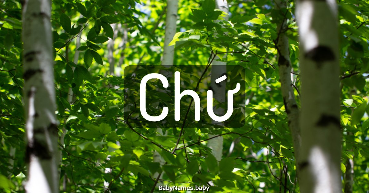 Chứ