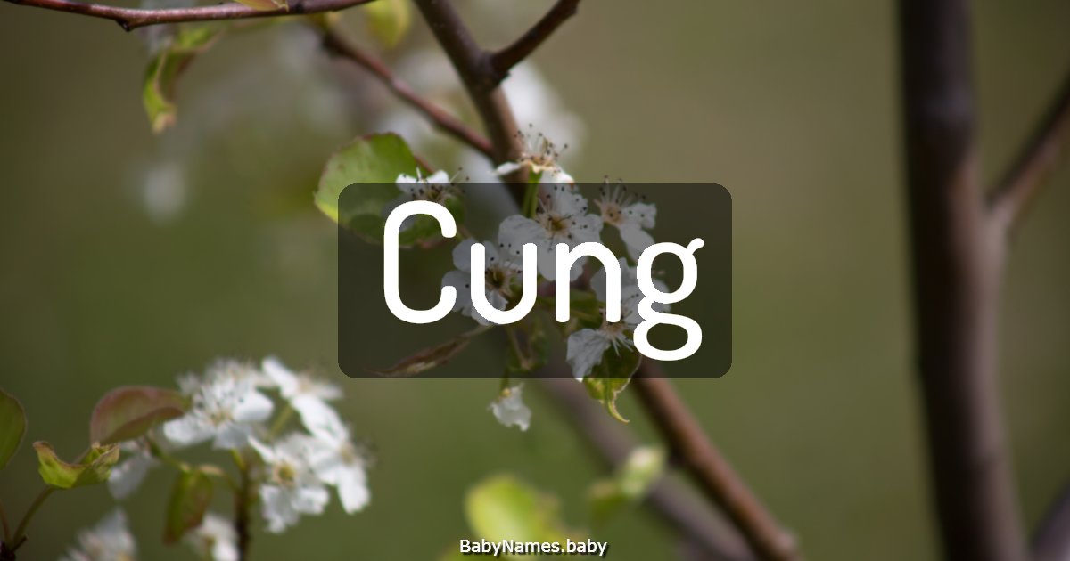 Cung