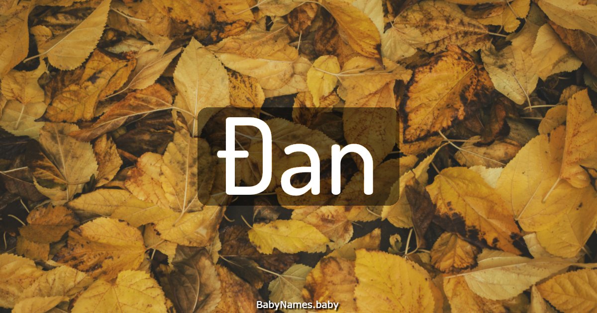 Đan