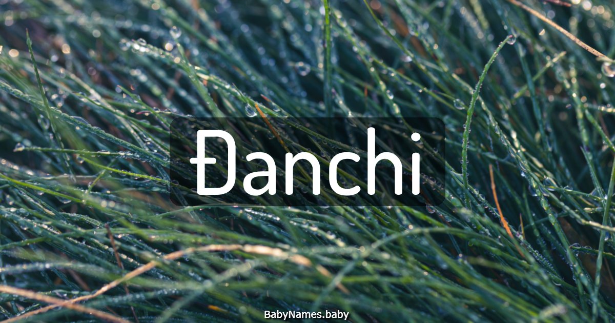 Đanchi