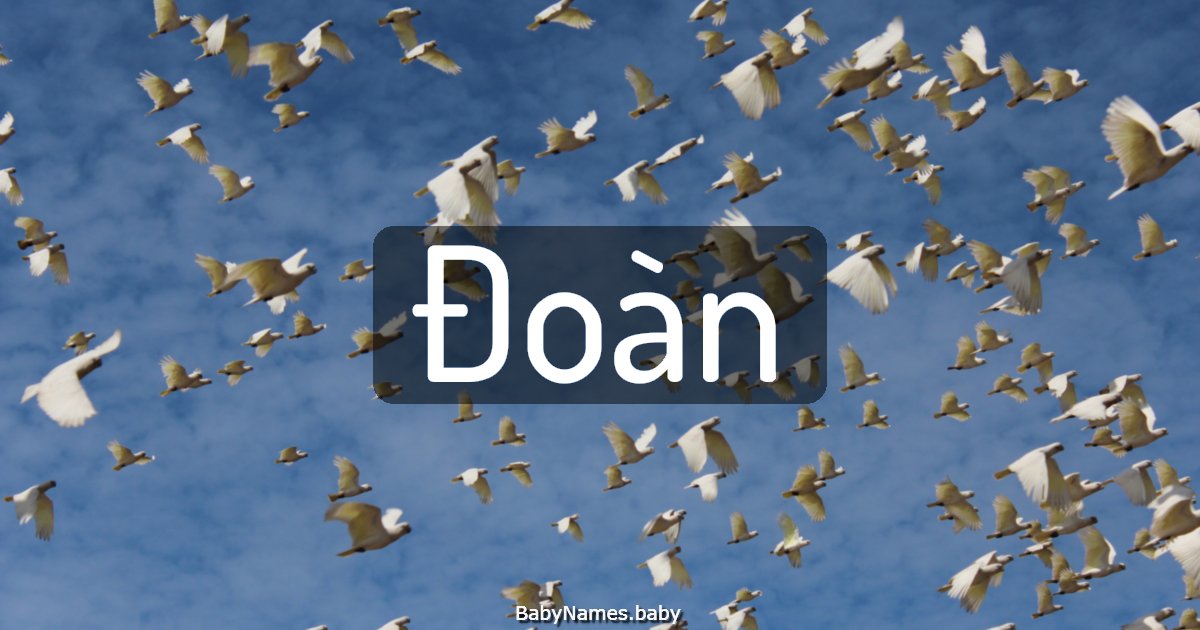 Đoàn