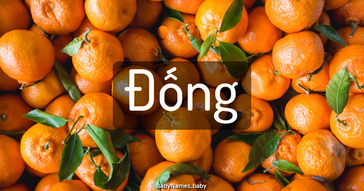 Đống