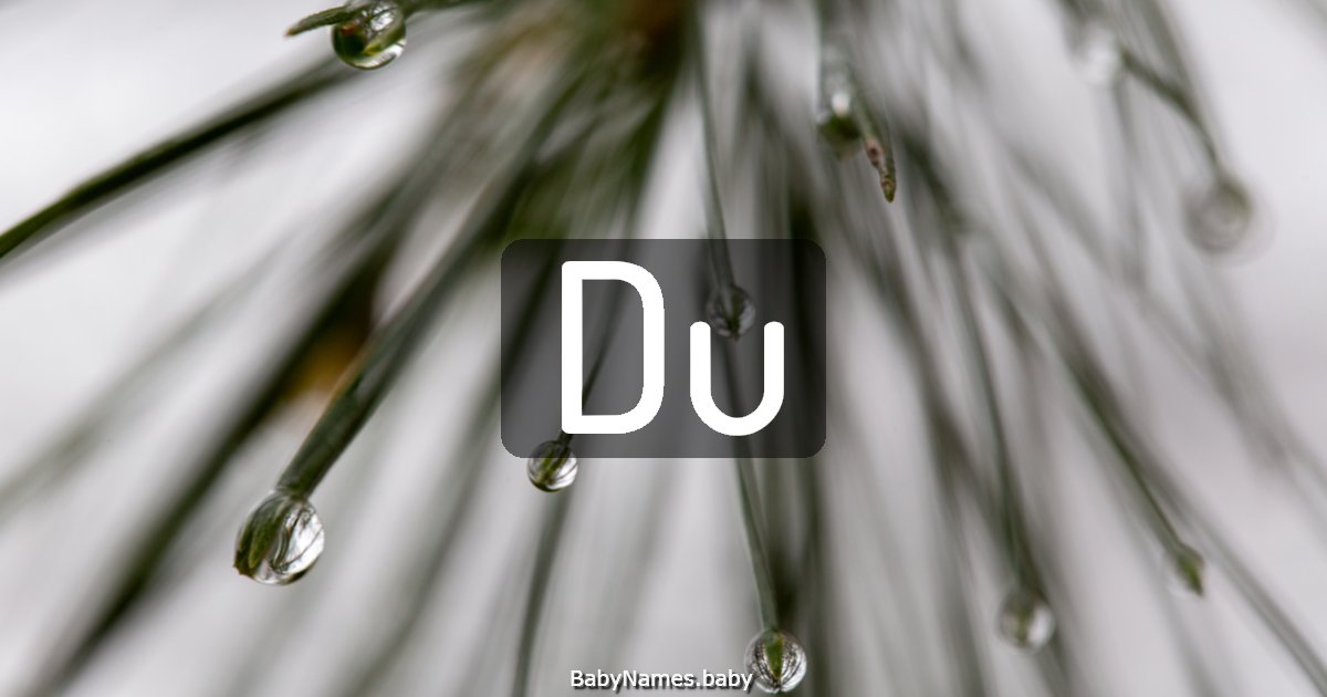 Du