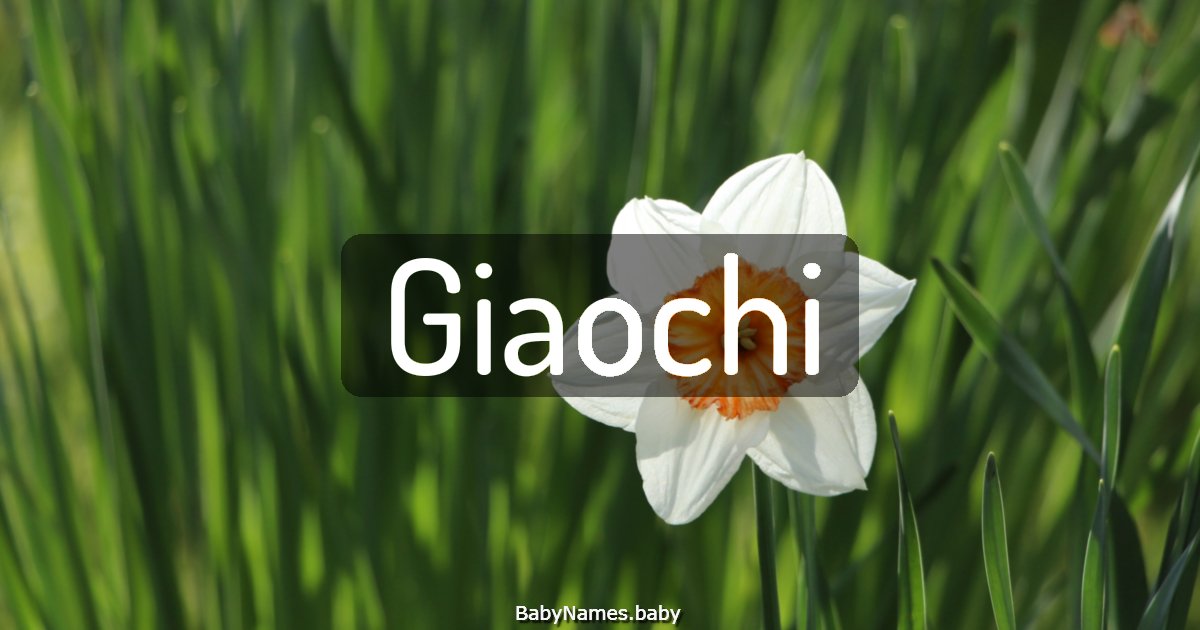 Giaochi