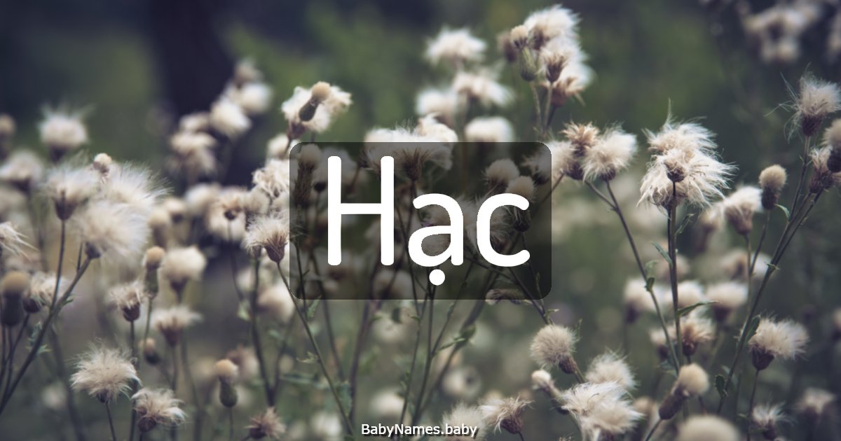 Hạc
