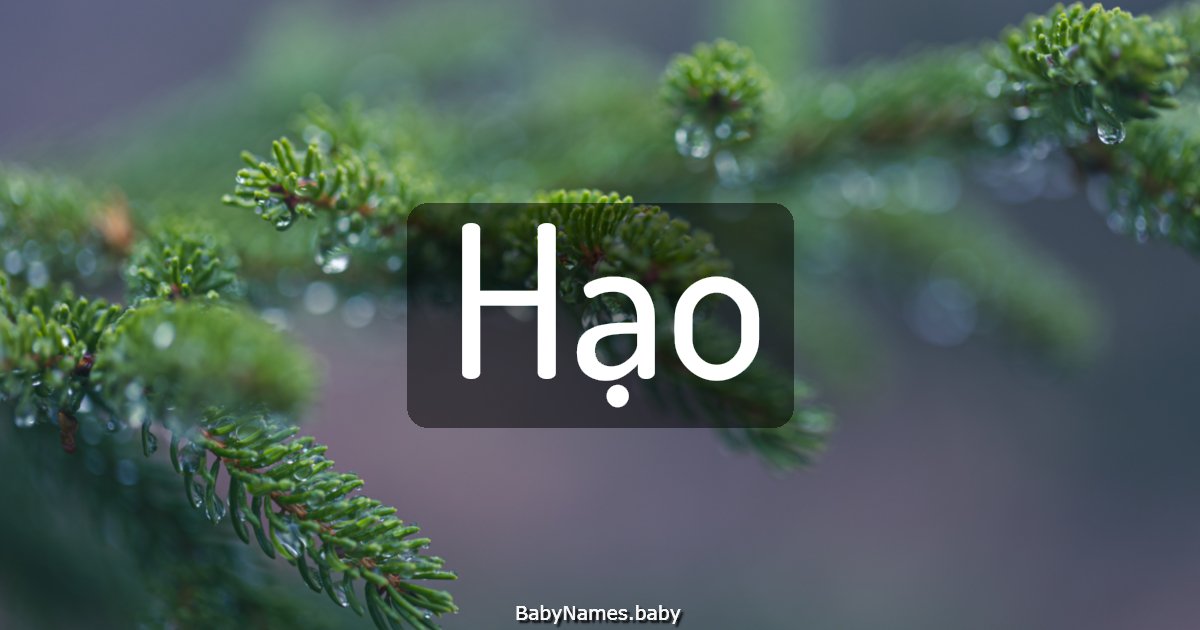 Hạo