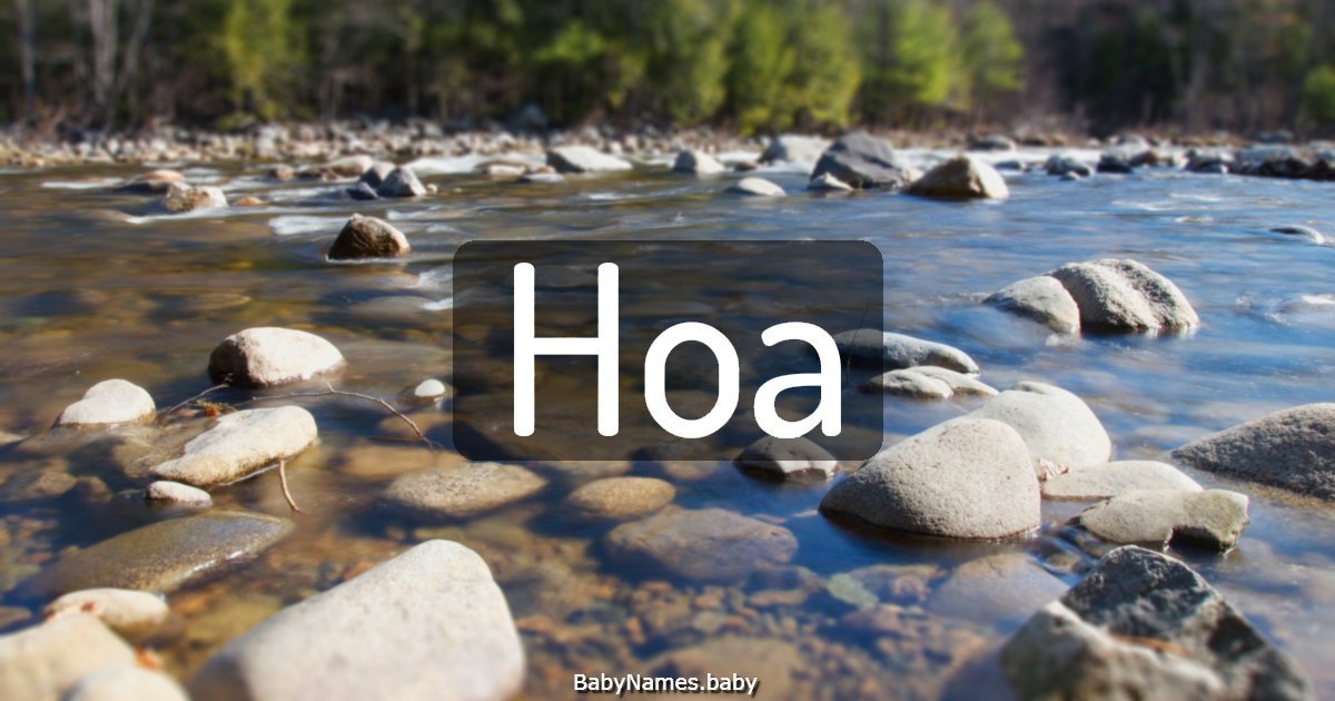 Hoa