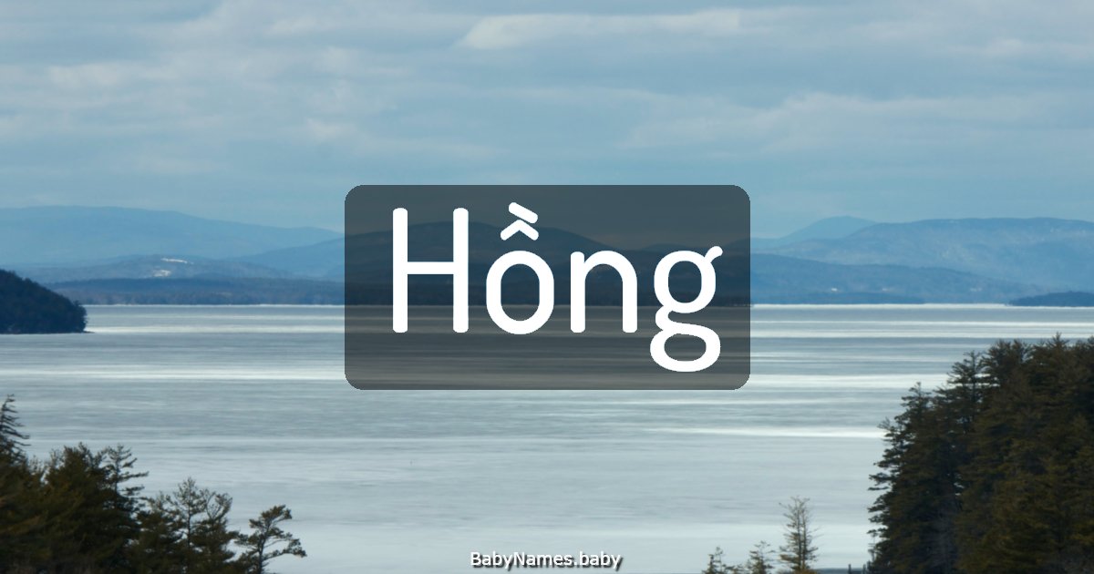 Hồng