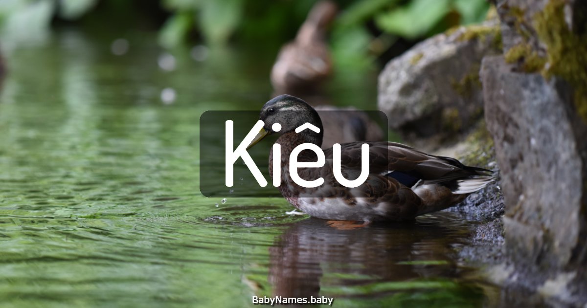 Kiêu