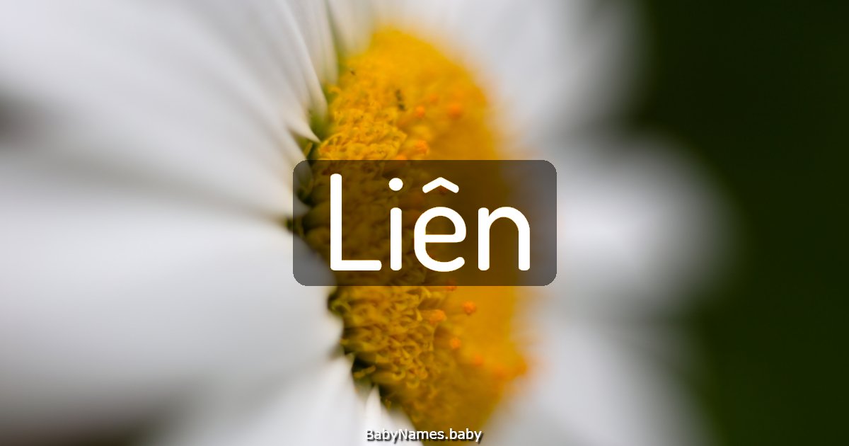 Liên