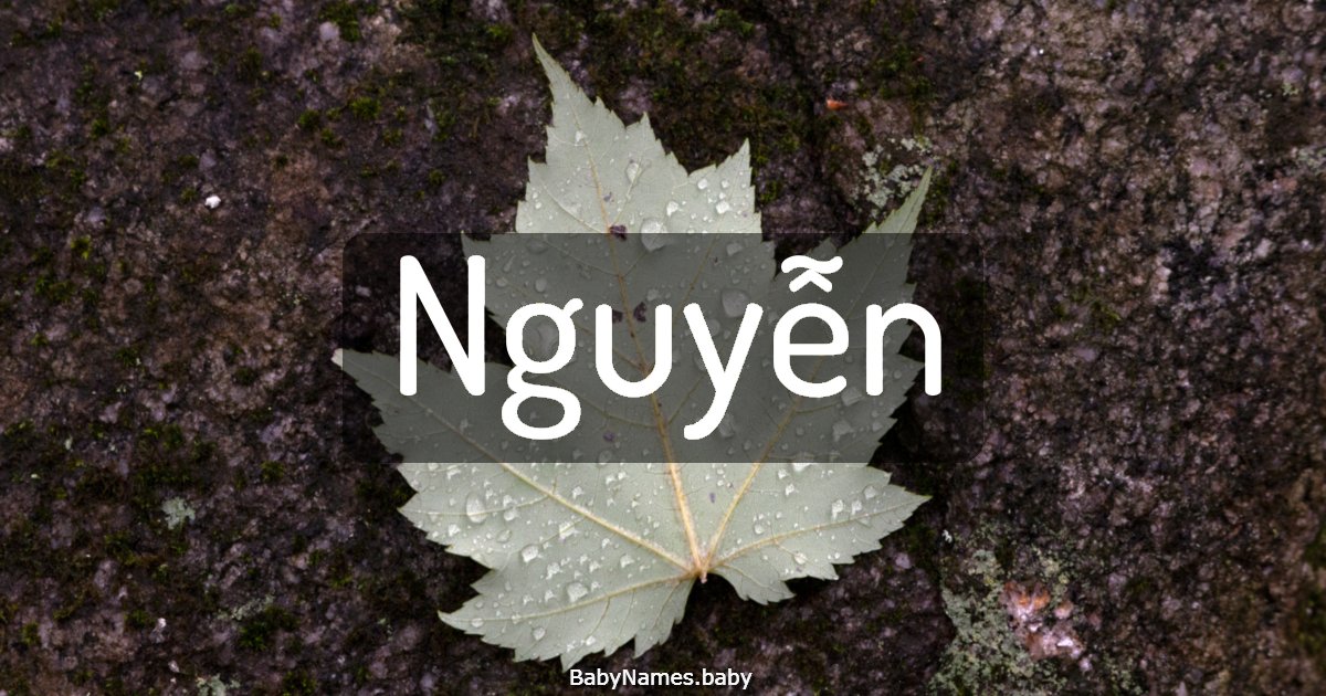 Nguyễn