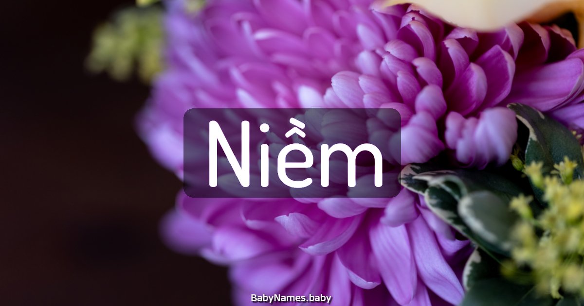 Niềm