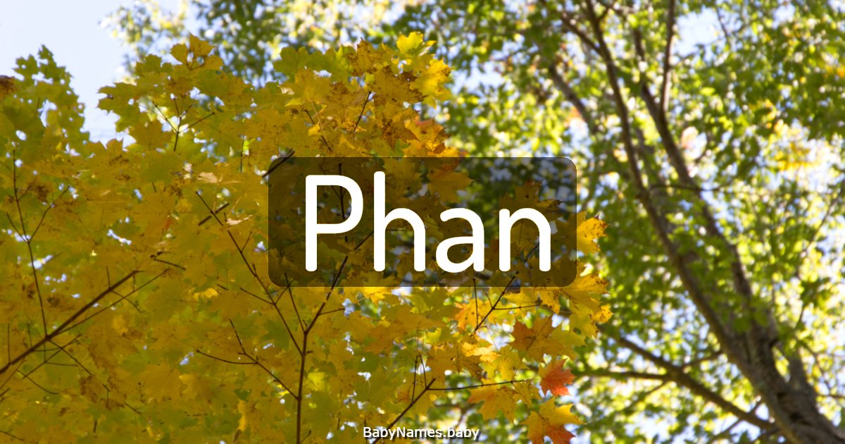Phan