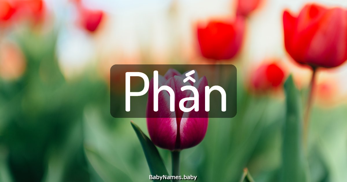 Phấn