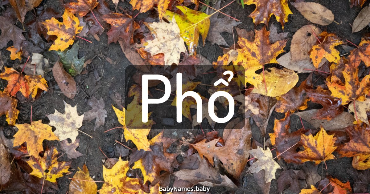 Phổ