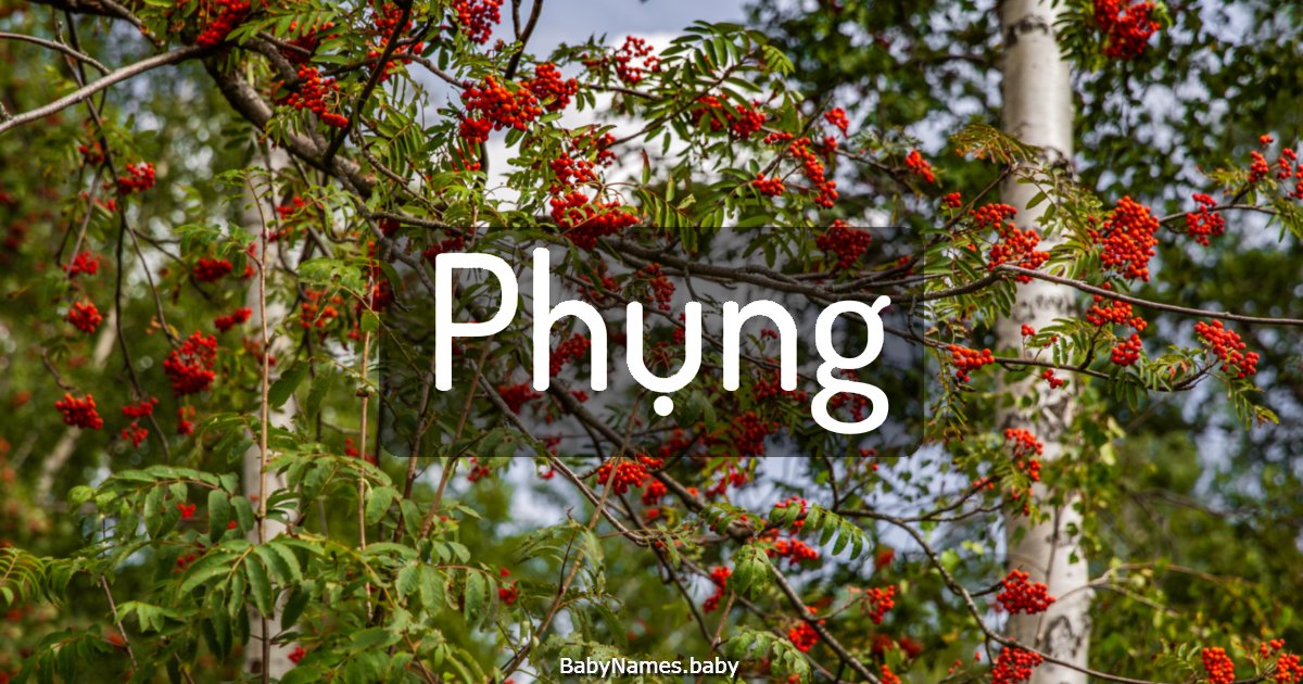 Phụng
