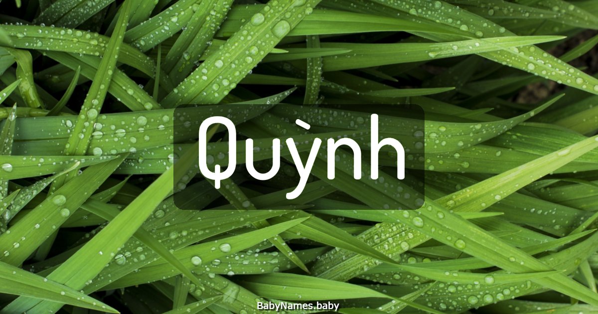 Quỳnh