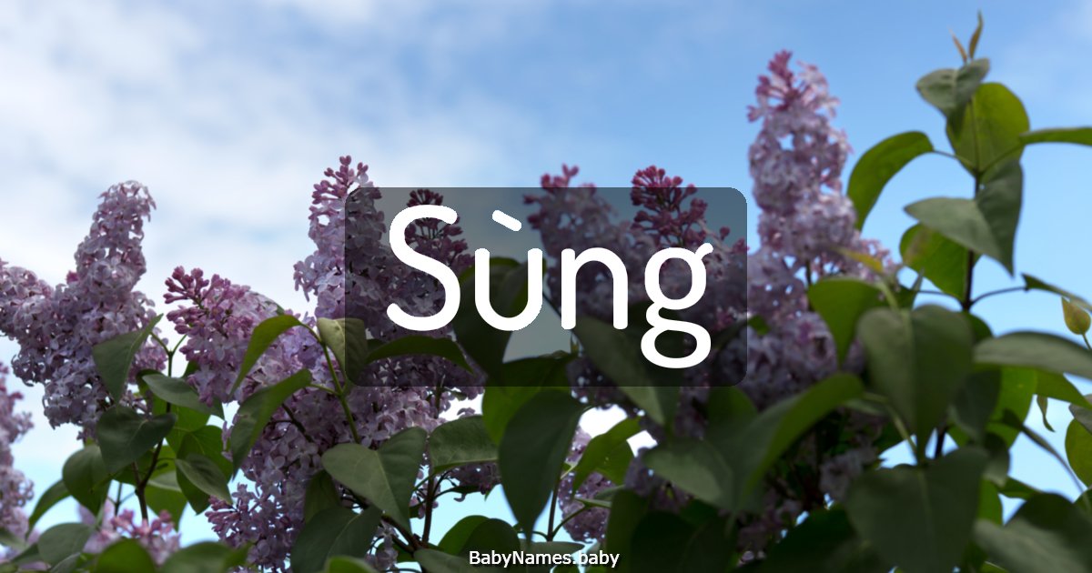 Sùng