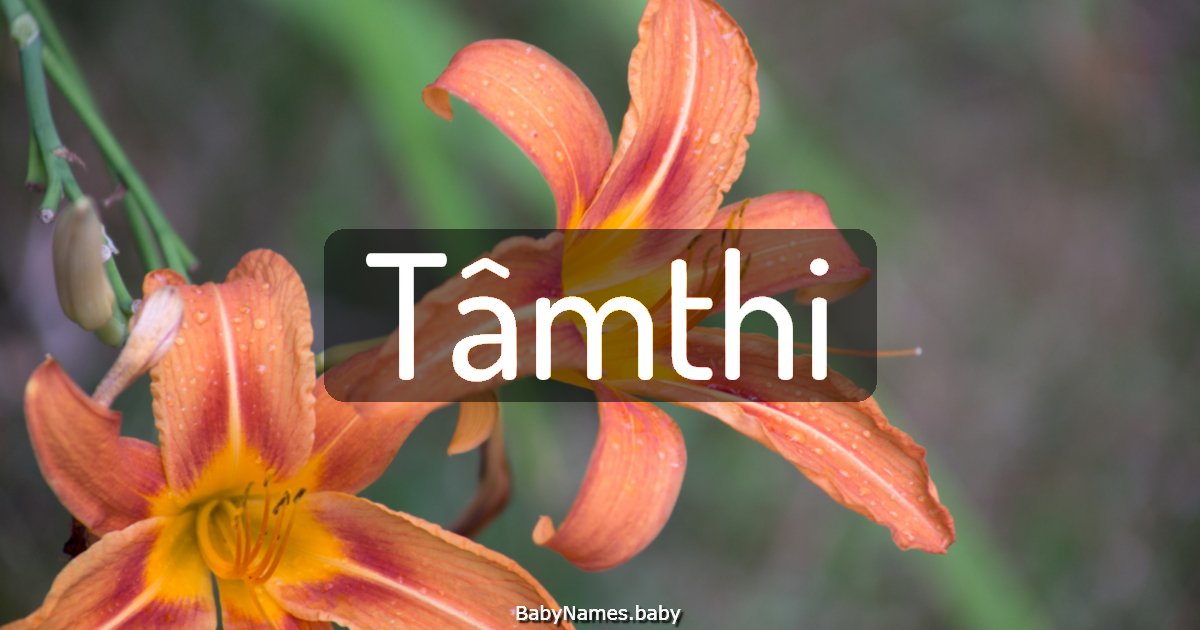 Tâmthi