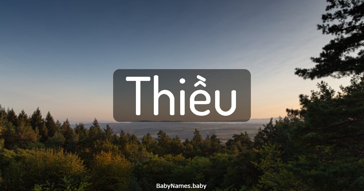 Thiều