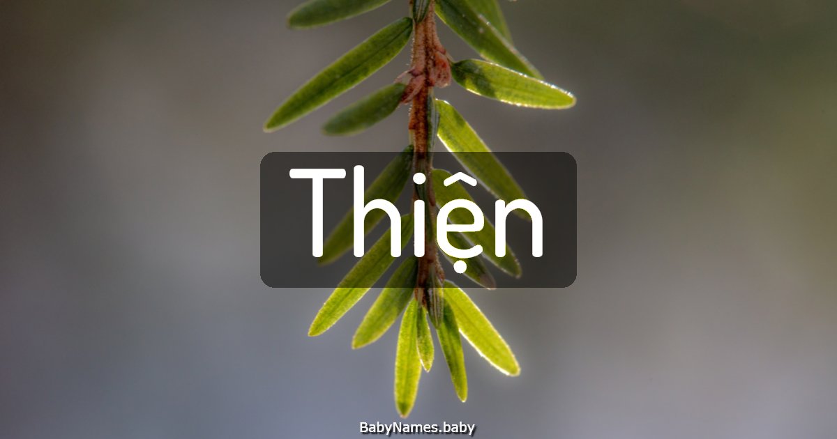 Thiện