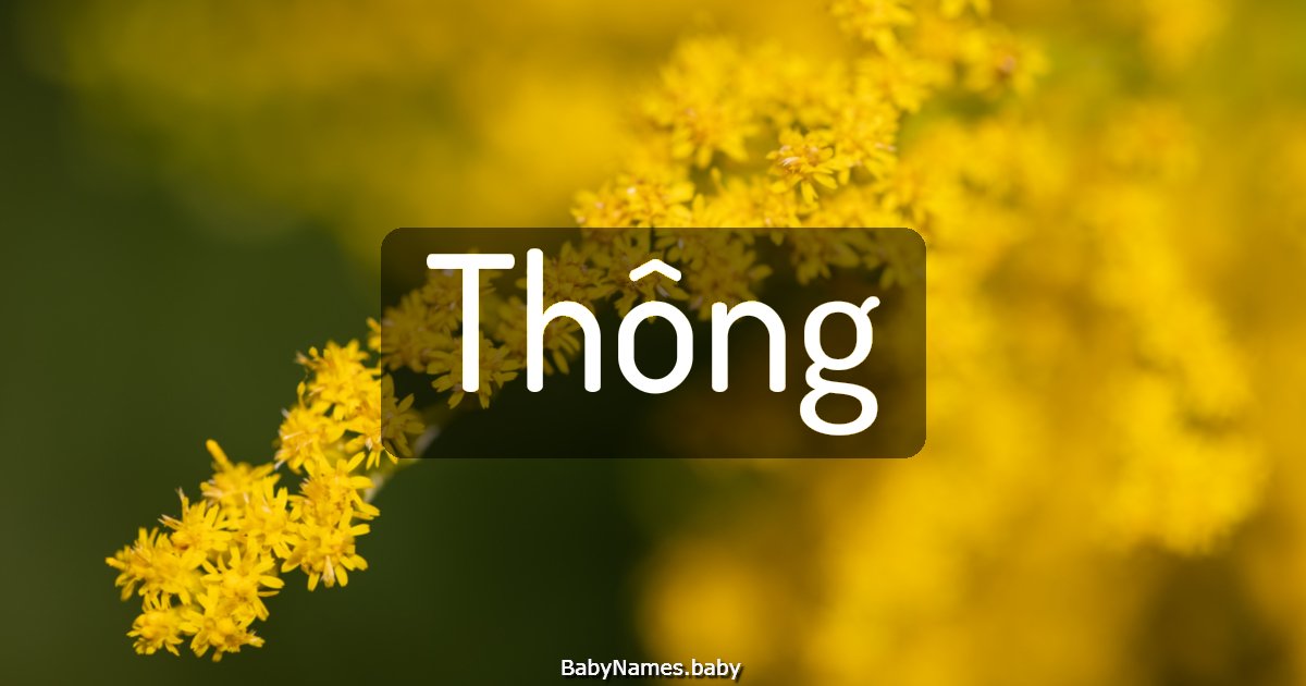 Thông