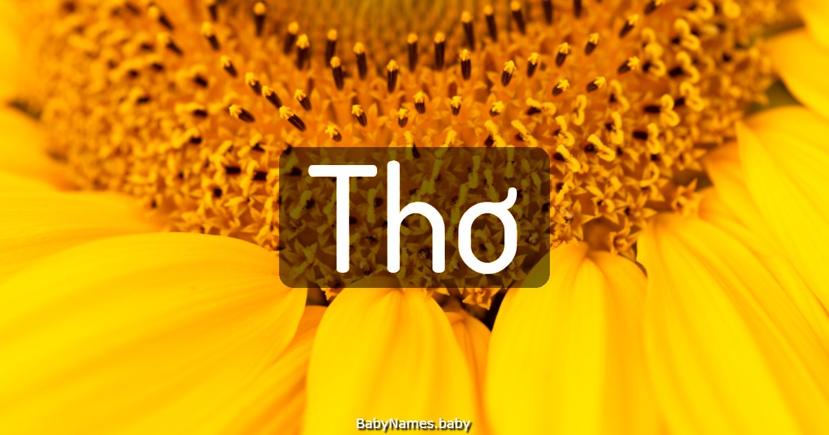 Thơ