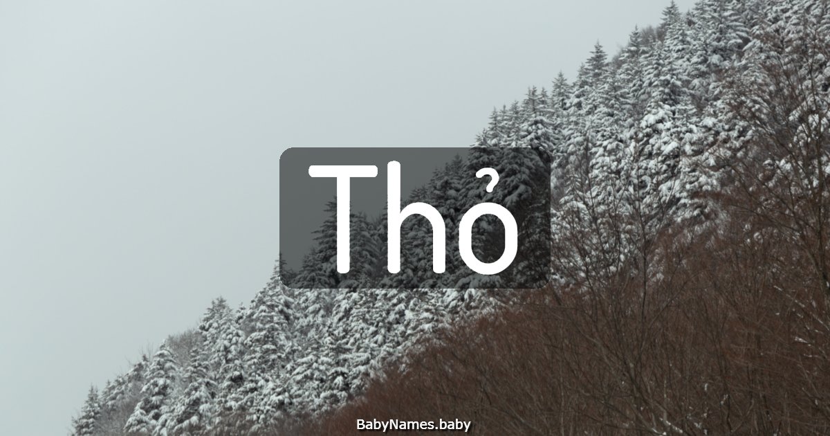 Thỏ