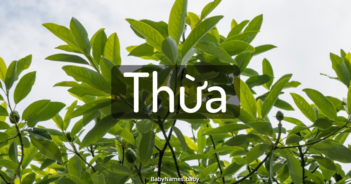 Thừa