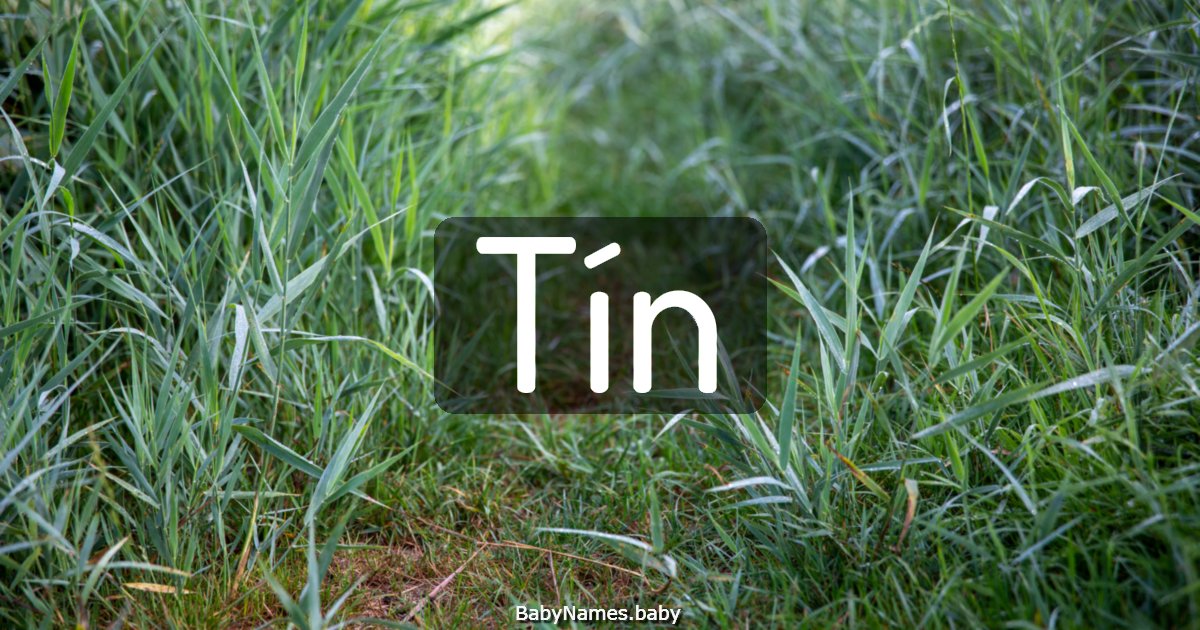 Tín
