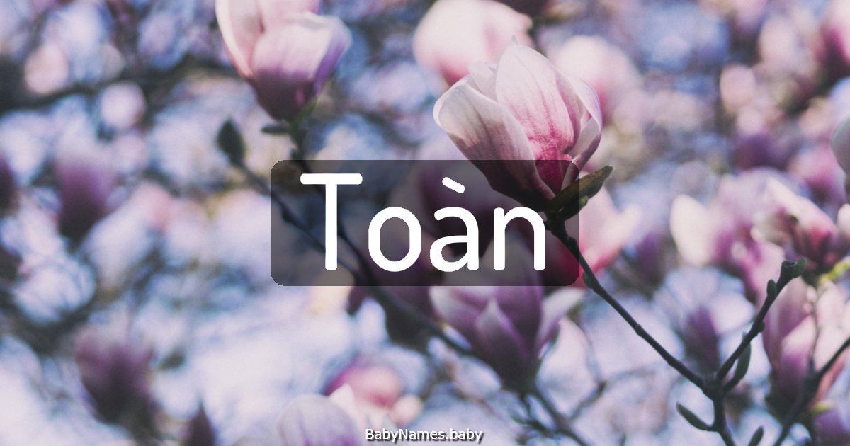 Toàn