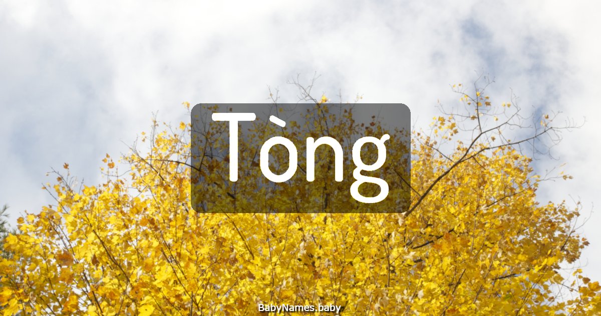 Tòng