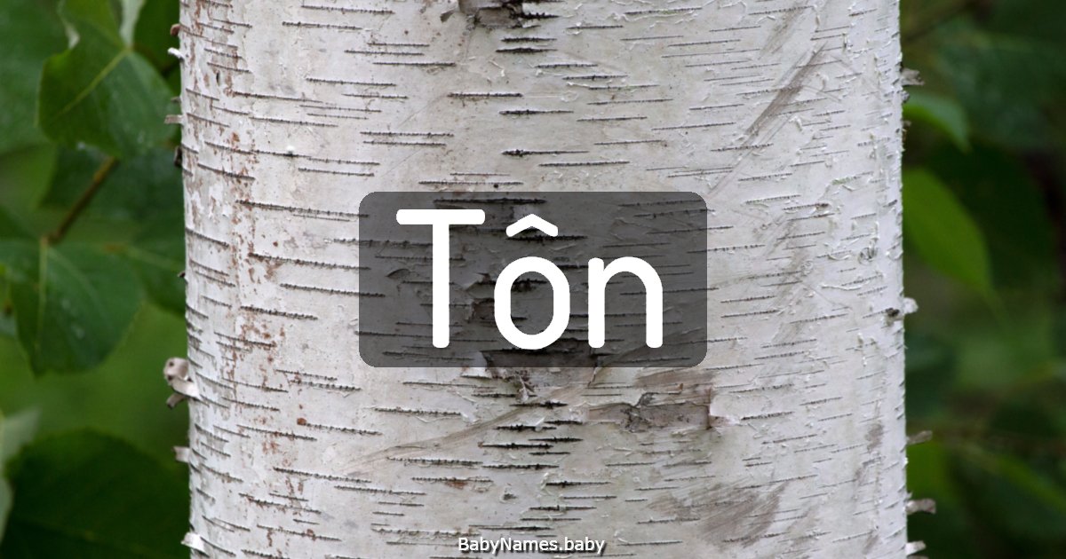 Tôn