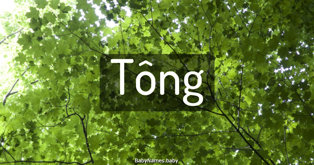 Tông