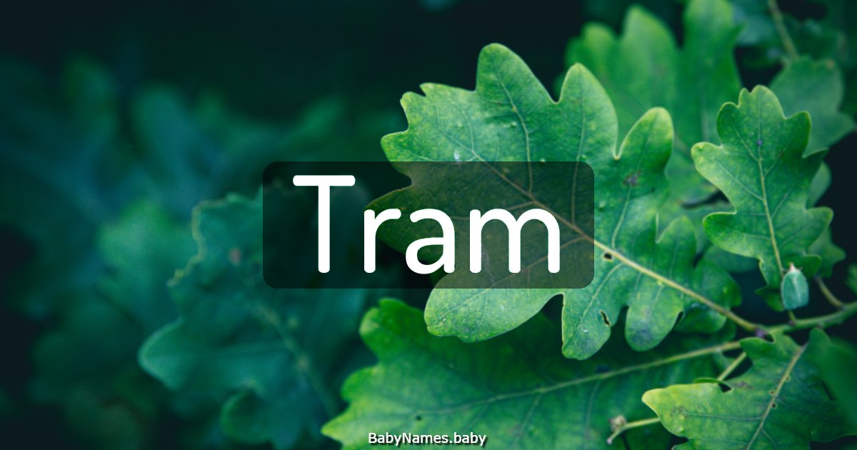 Tram