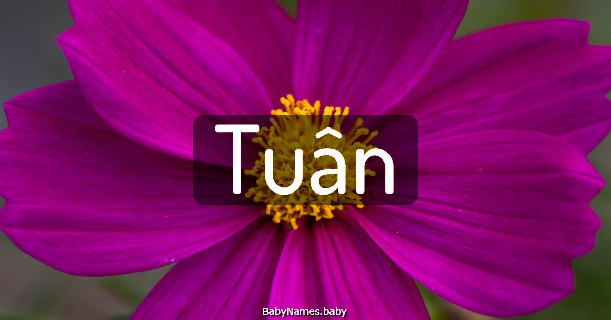 Tuân