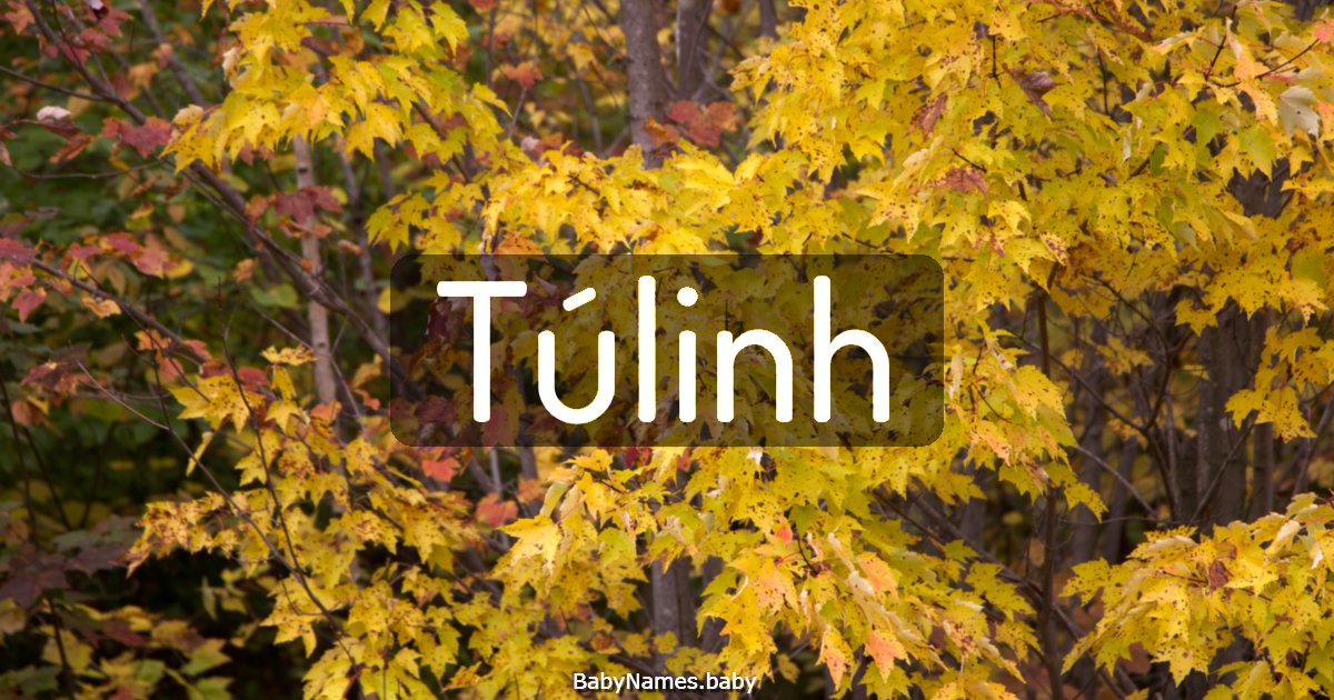 Túlinh