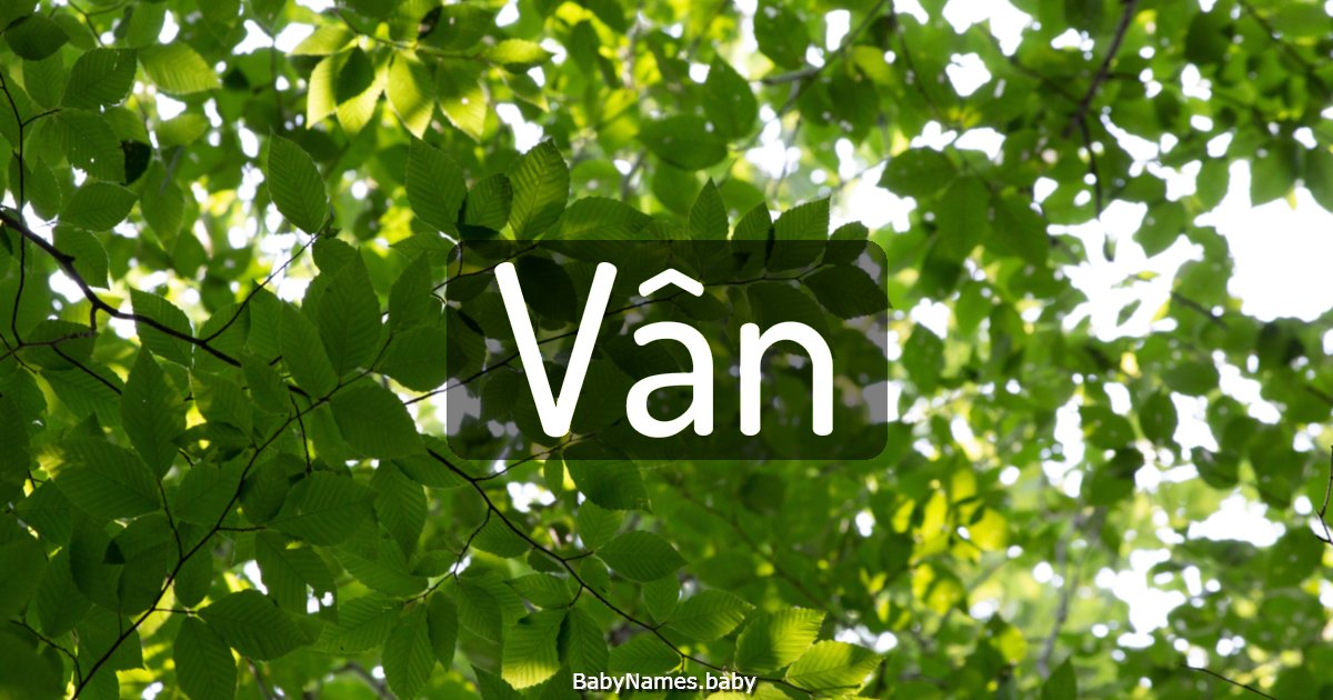 Vân