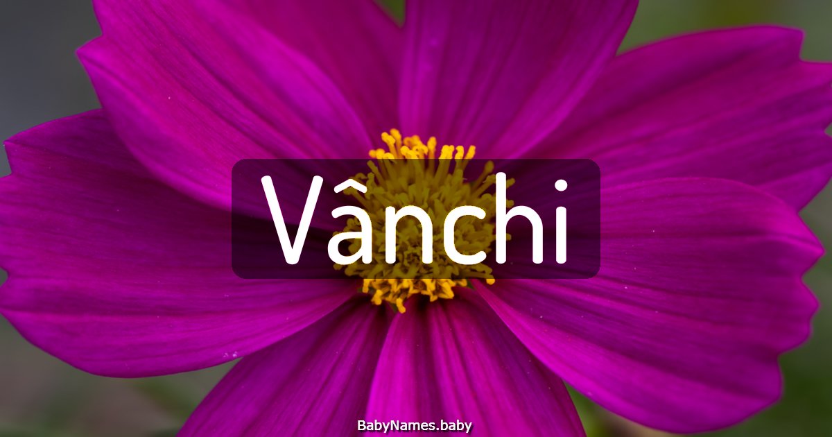 Vânchi