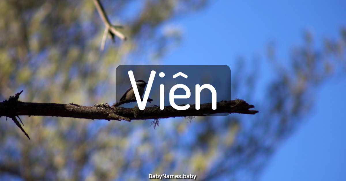 Viên