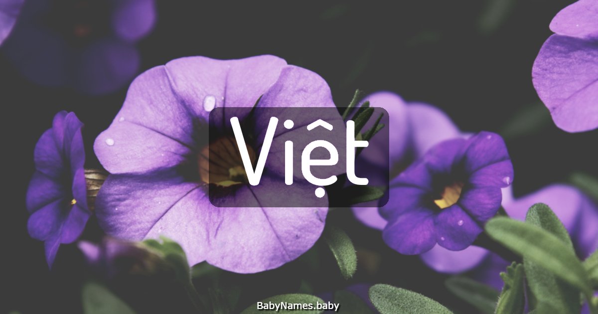 Việt