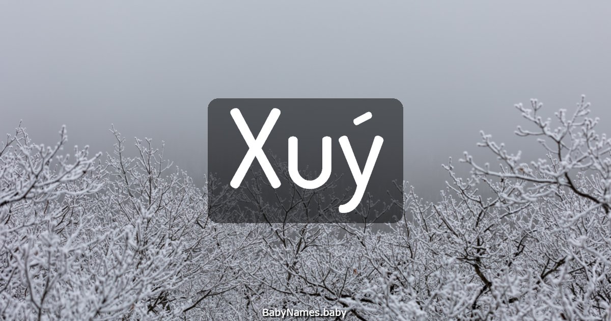 Xuý
